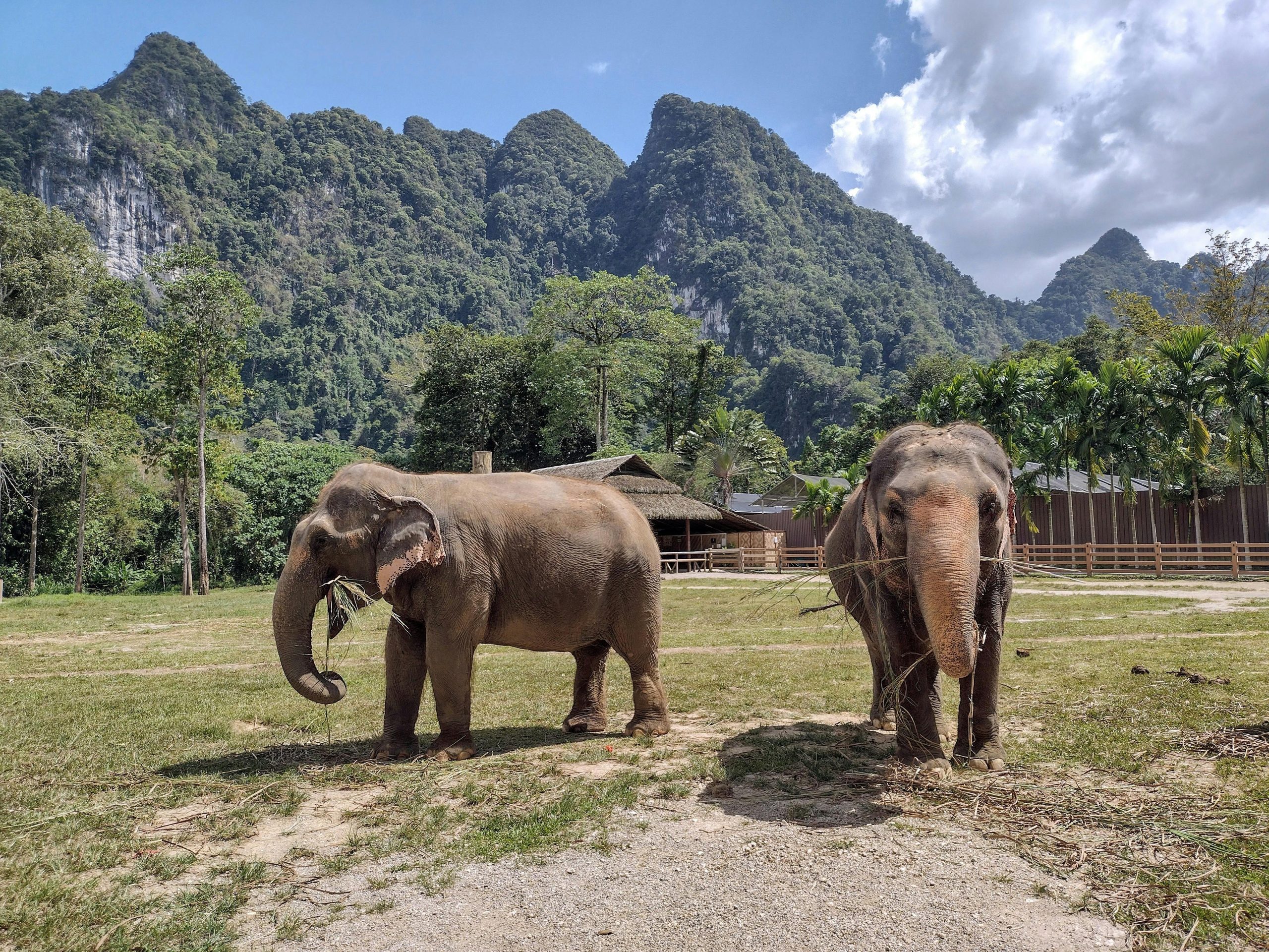 Breathtaking Pattaya & Bangkok